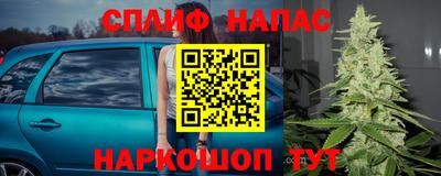 индика Кинель